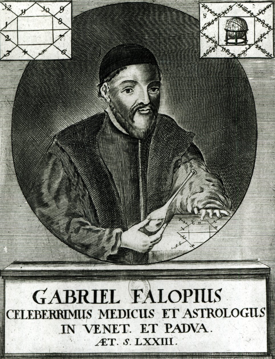Ritratto di Gabriel Fallopius da Italian School
