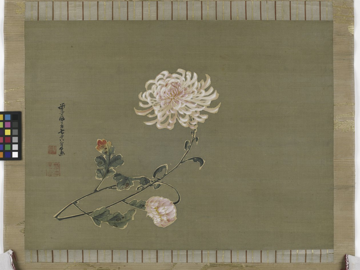 Crisantemo, Periodo Edo da Ito Jakuchu