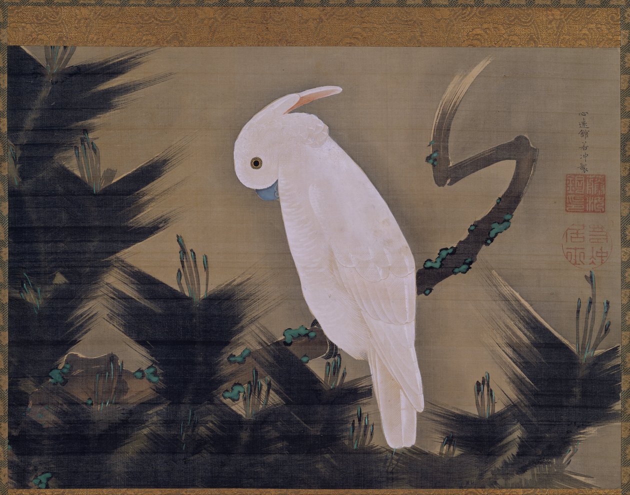 Cacatua bianco su un ramo di pino da Ito Jakuchu