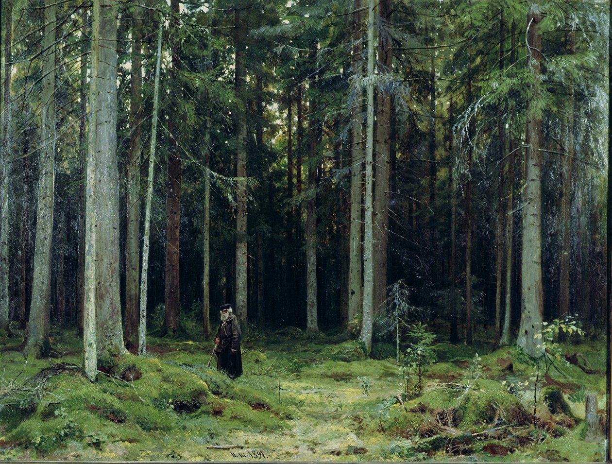 Foresta della Contessa Mordvinov, 1891 da Ivan Ivanovich Shishkin