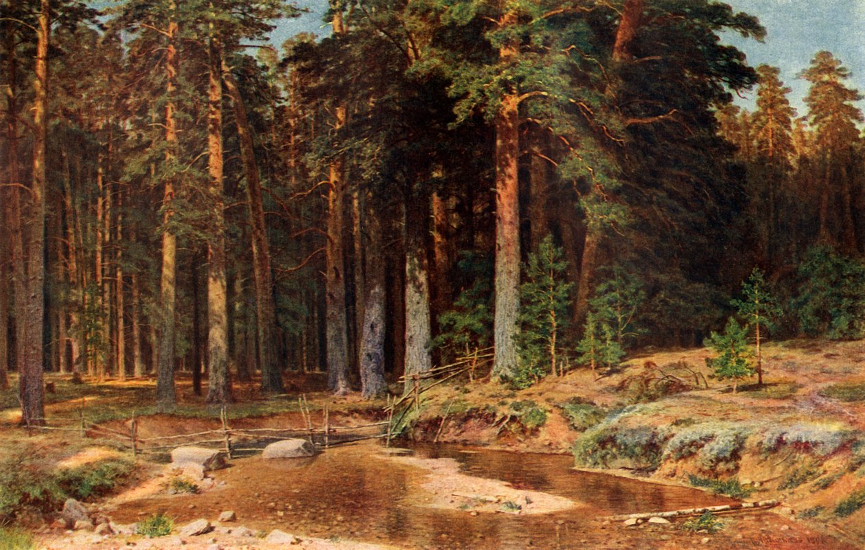 Un boschetto di pini, 1898, 1939 da Ivan Ivanovich Shishkin