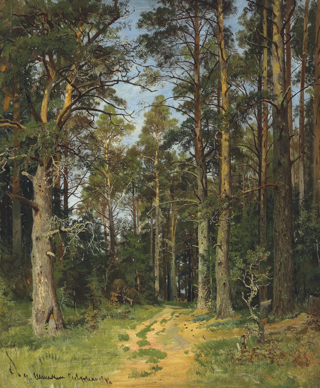 Siverskaya, 1896 da Ivan Ivanovich Shishkin