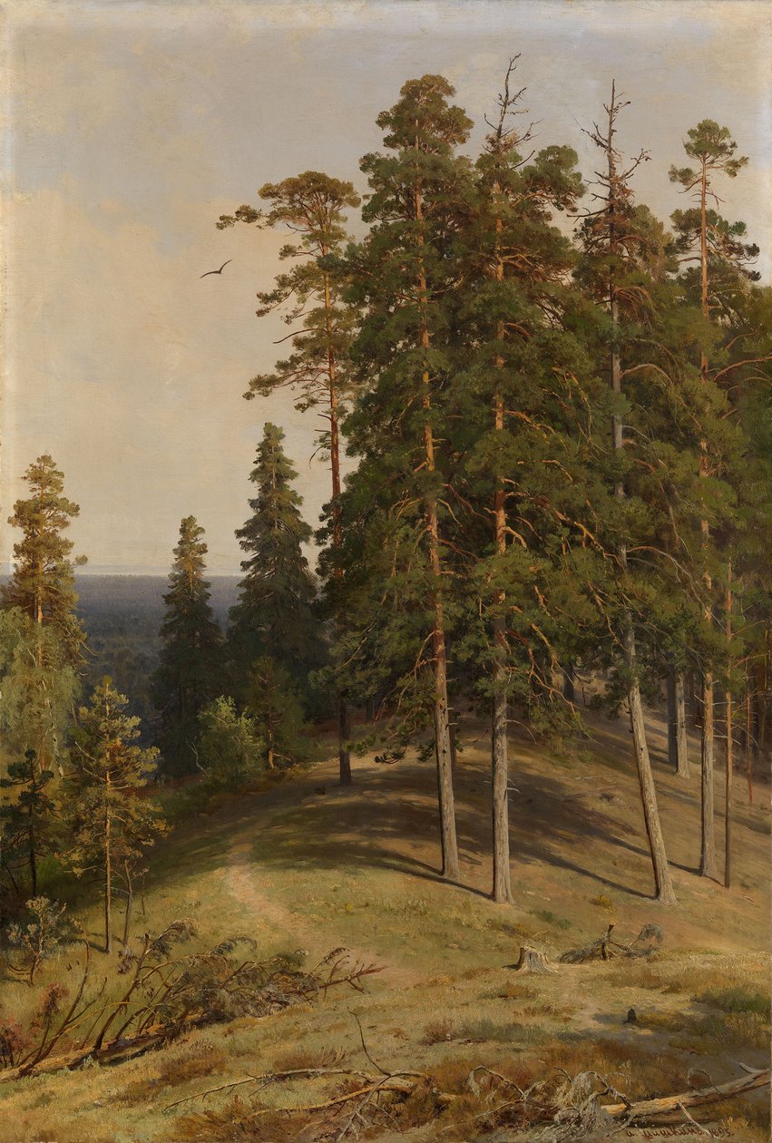 La Foresta di Pini, 1895 da Ivan Ivanovich Shishkin