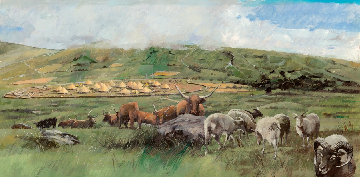 Grimspound, Età del Bronzo da Ivan Lapper