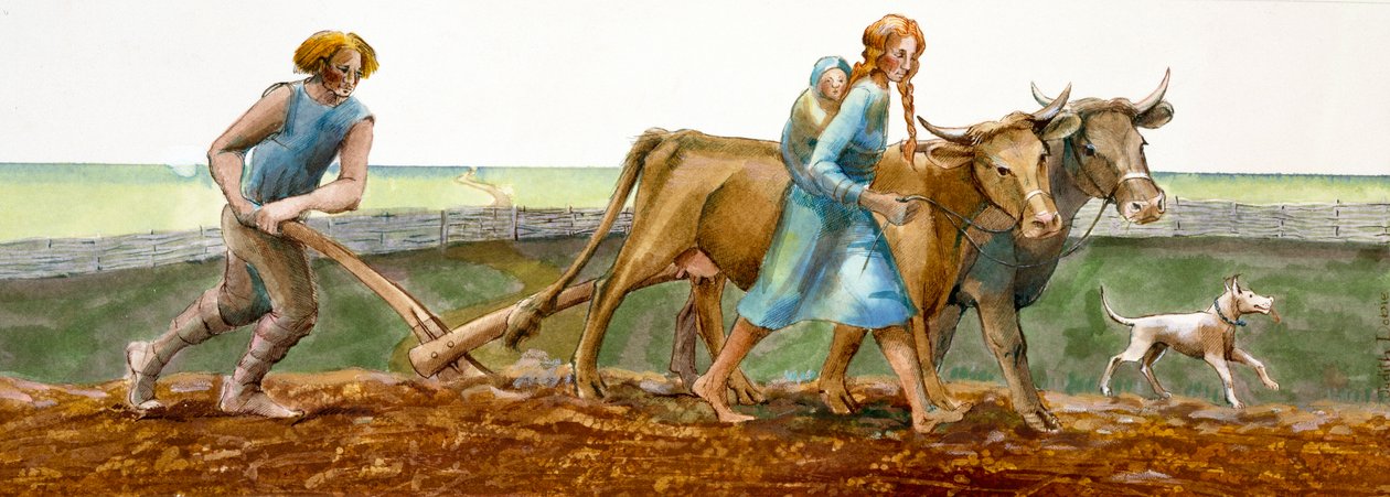 Aratura, Età del Ferro, c1990-2010 da Ivan Lapper