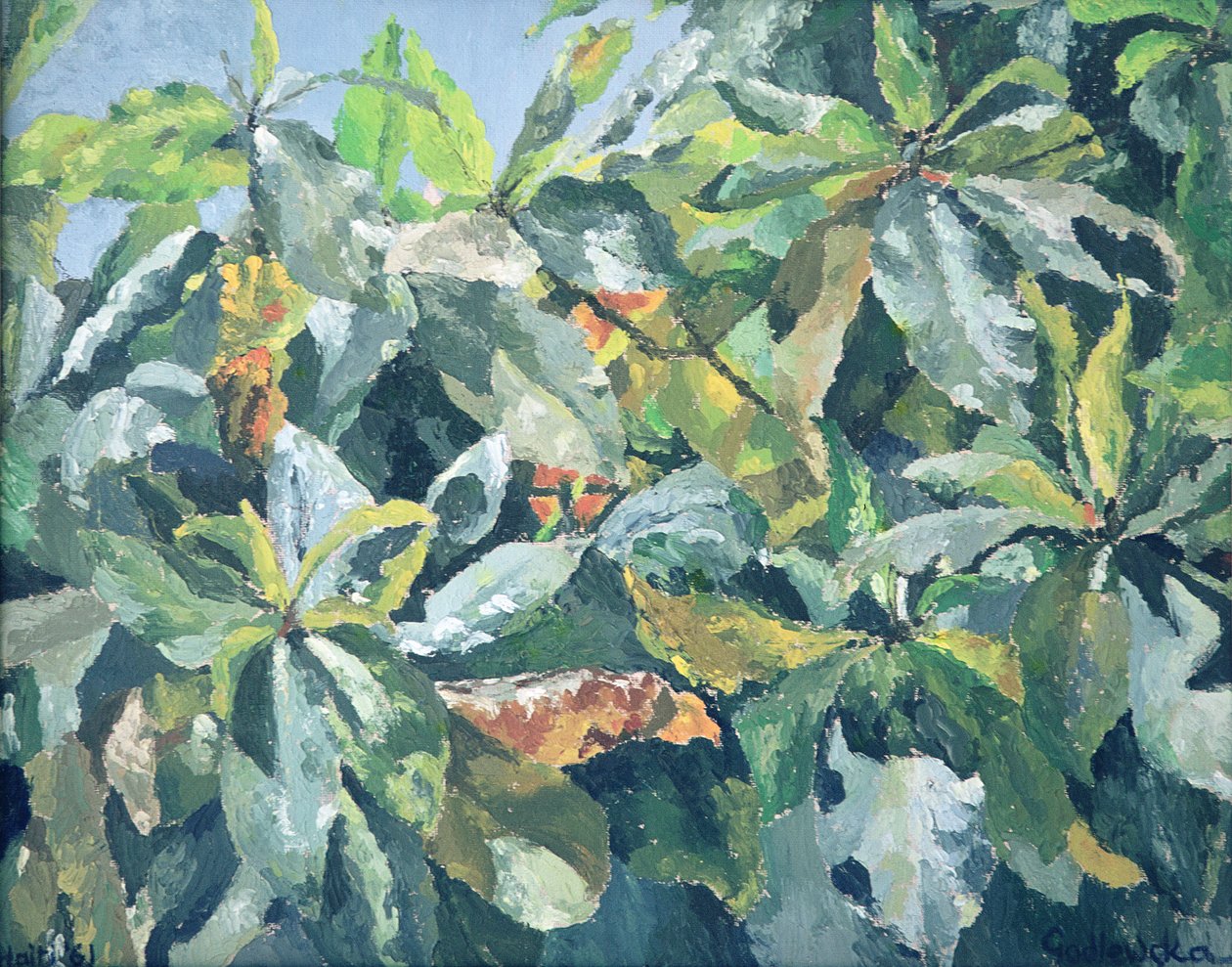 Piante, 1961 da Izabella Godlewska de Aranda