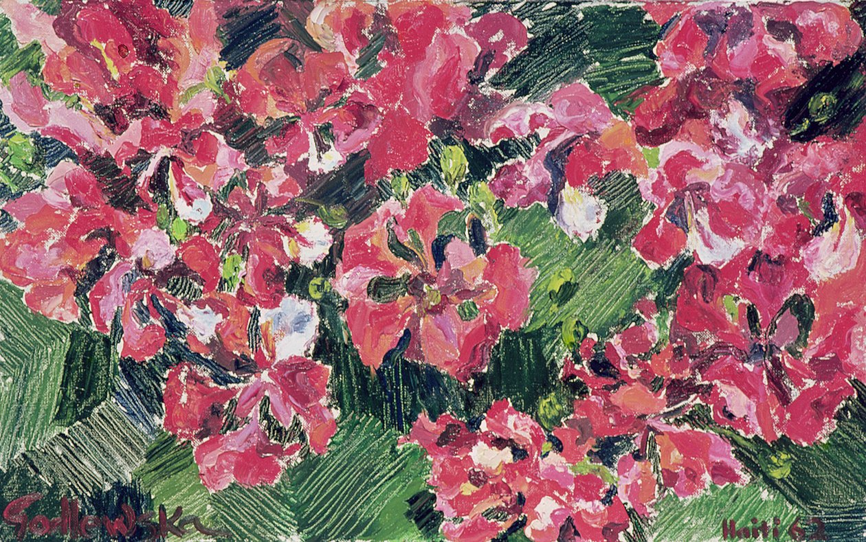 Rhododendron, 1962 da Izabella Godlewska de Aranda