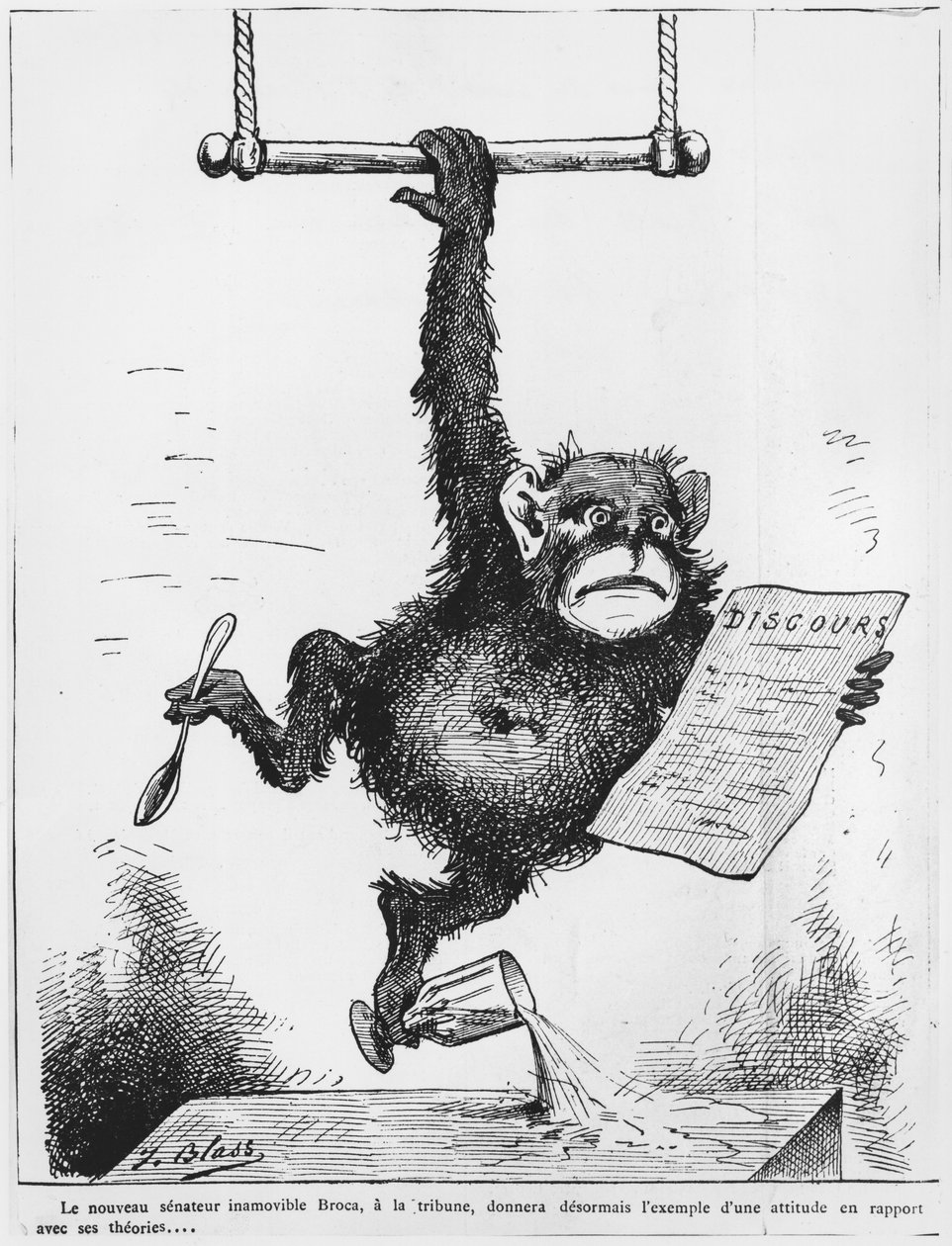 Caricatura di Paul Broca, illustrazione da 