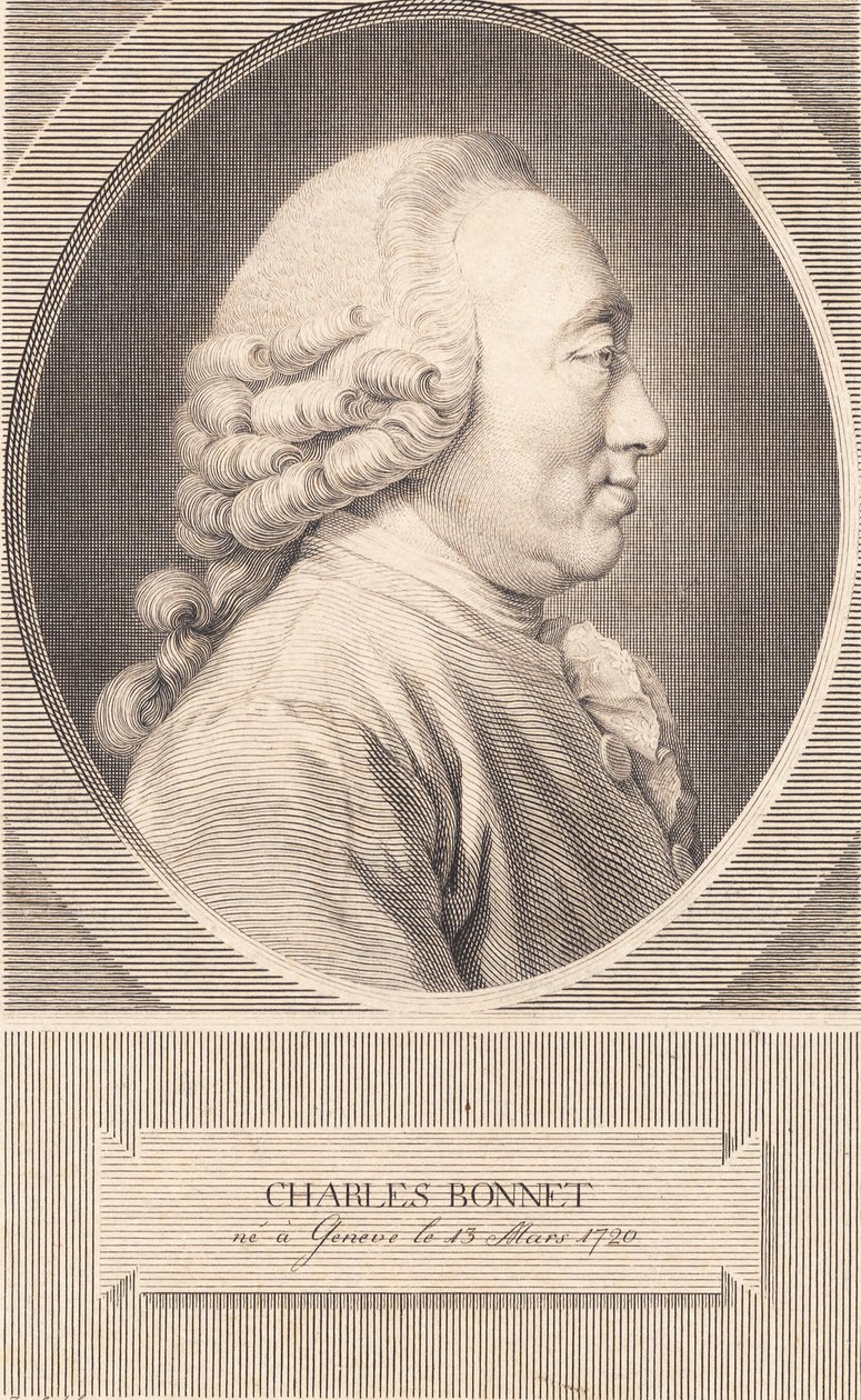 Charles Bonnet da J.F. Clemens