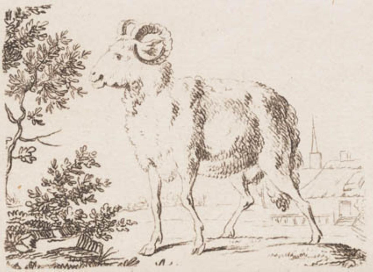 Un ariete da J.F. Clemens