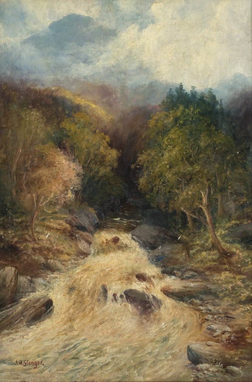 Una foresta di montagna da J.H. Stanger