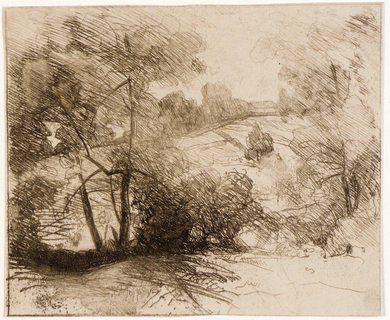 Salici da J. Alden Weir
