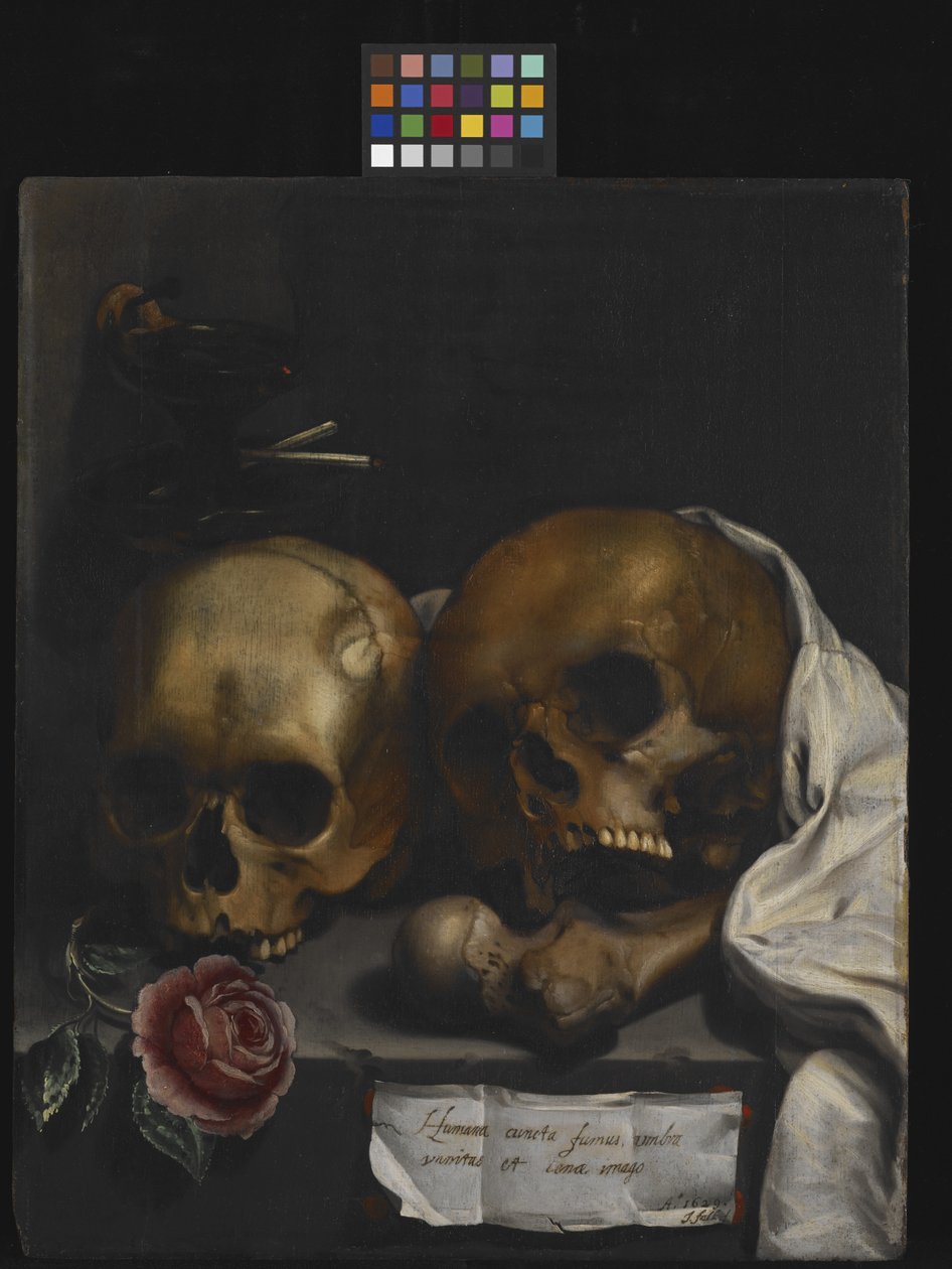 Natura morta vanitas da J Falk