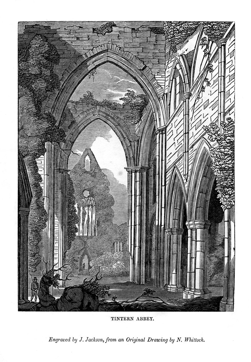 Abbazia di Tintern, 1843 da J. Jackson