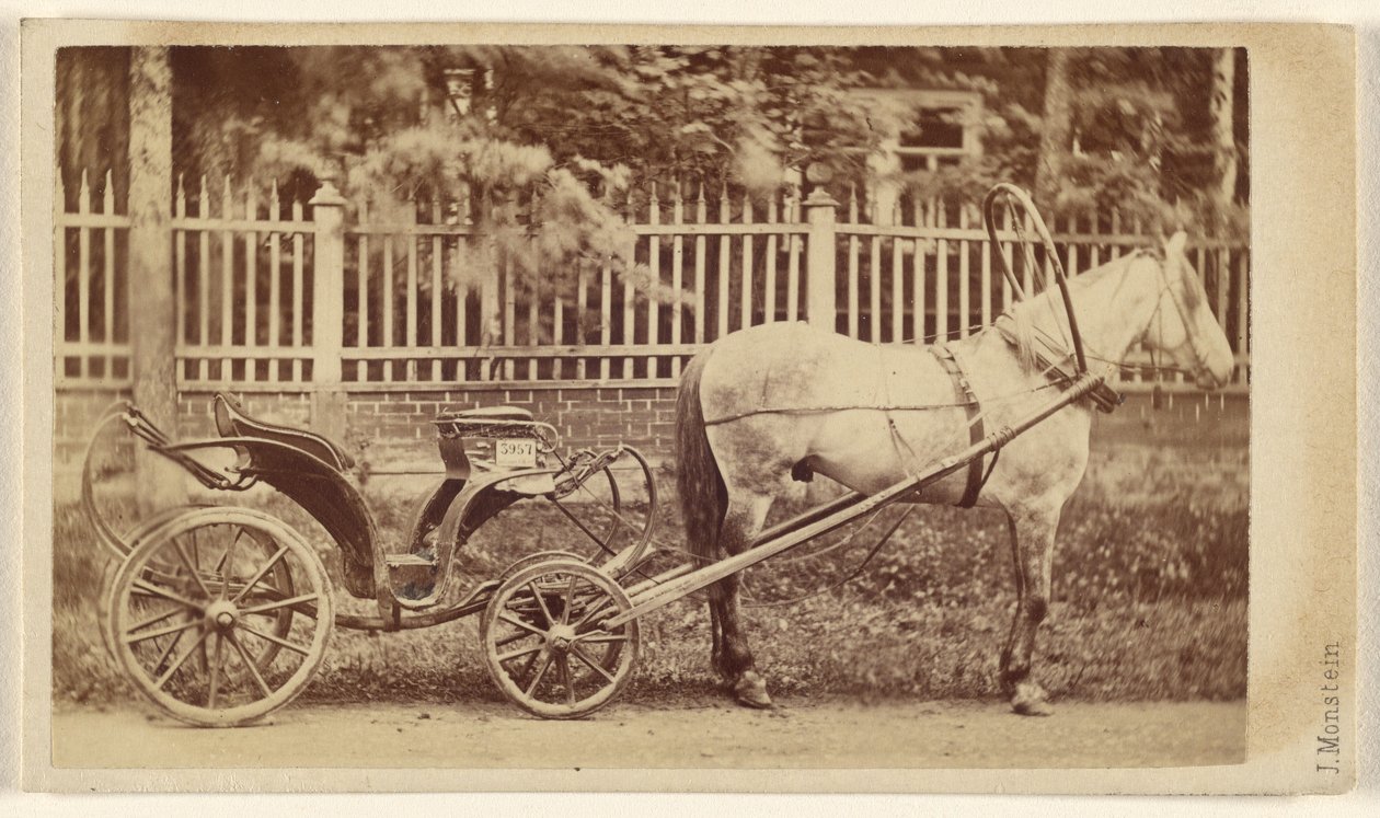 [Piccola carrozza con cavallo] da J. Monstein