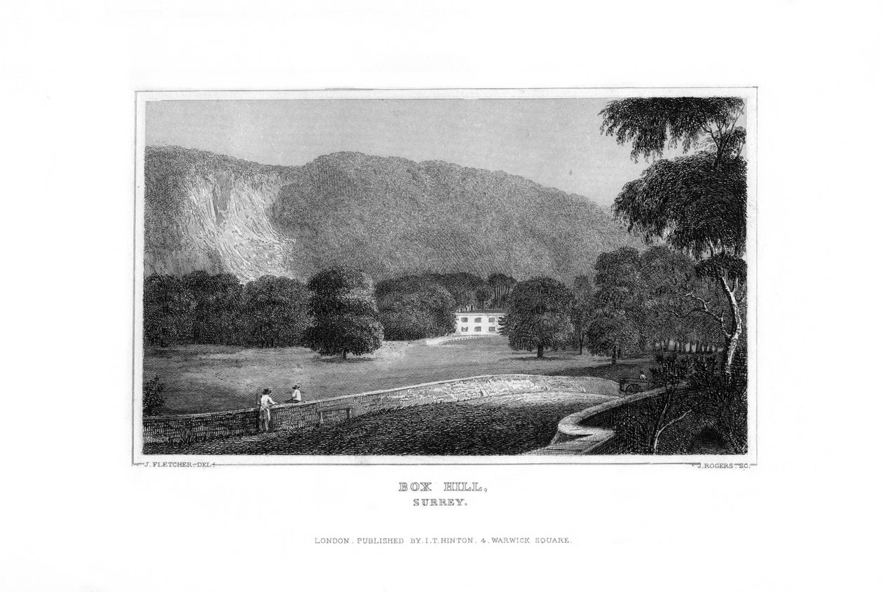 Box Hill, Surrey, 1829 da J. Rogers
