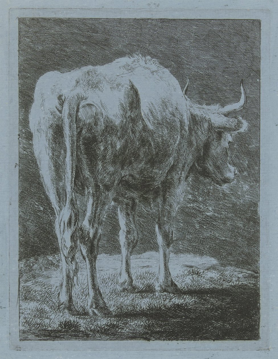 Mucca in un paesaggio da Jabes Heenck