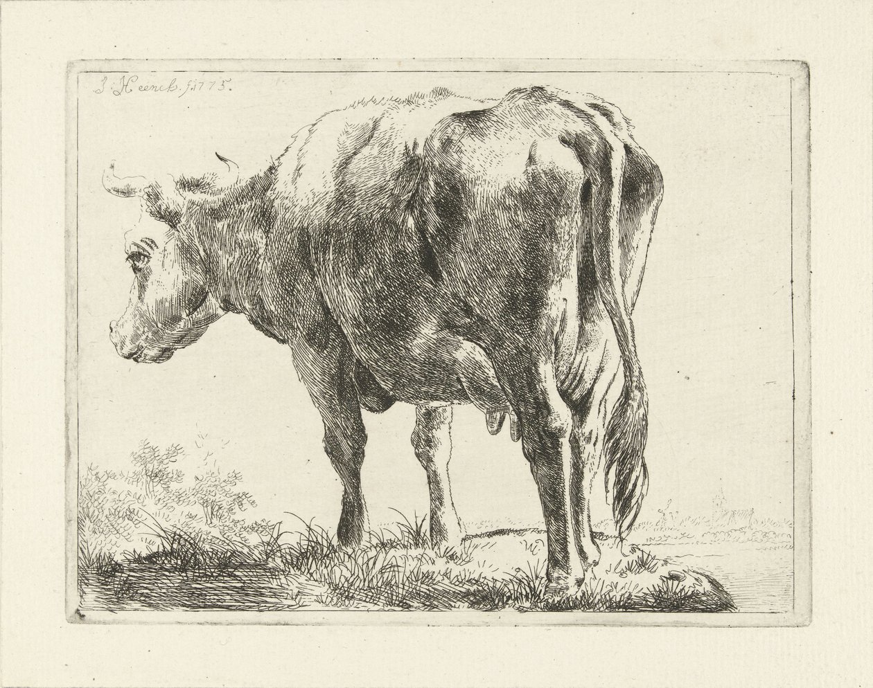 Mucca in piedi da Jabes Heenck