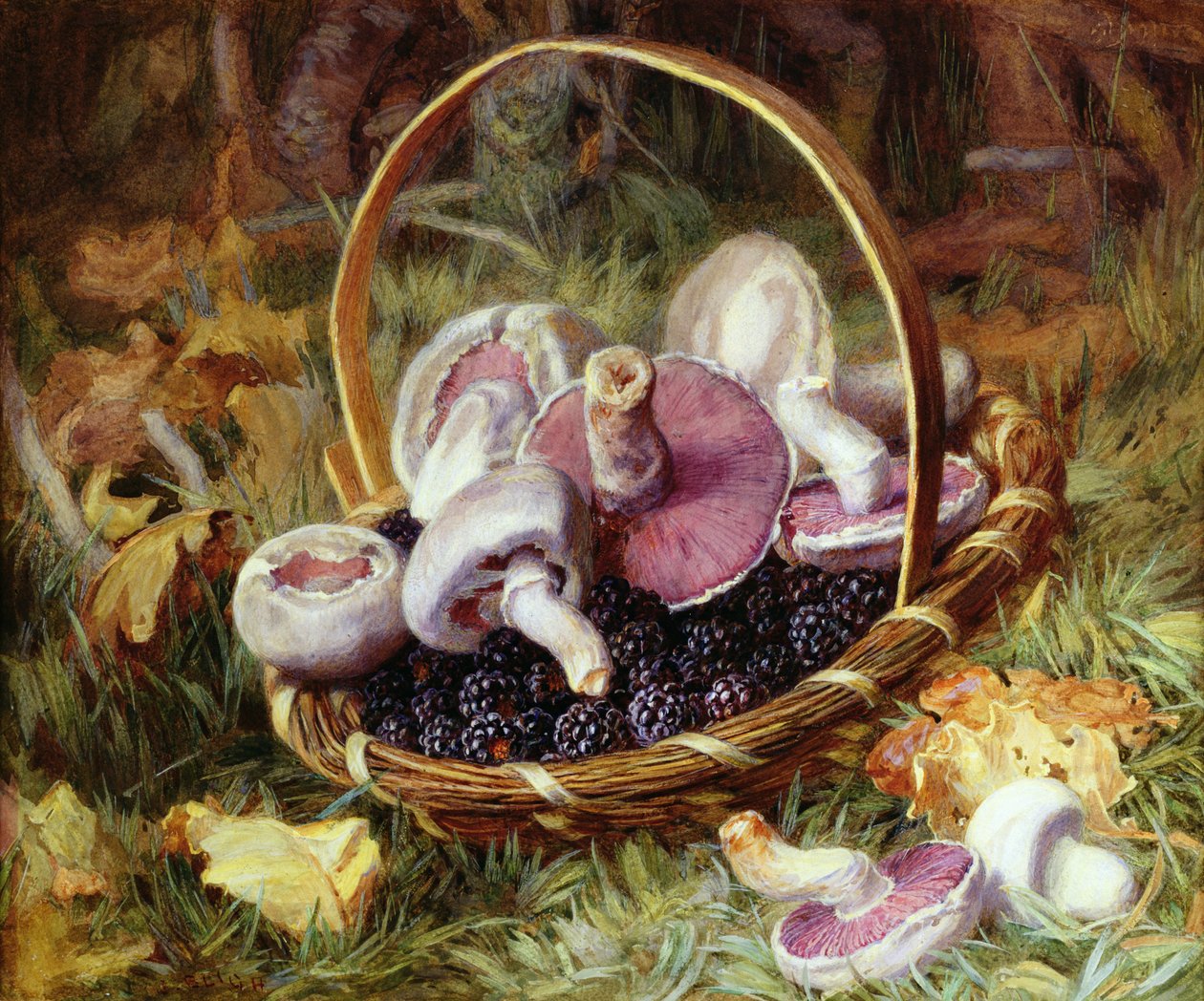 Un cesto di funghi selvatici e more da Jabez Bligh