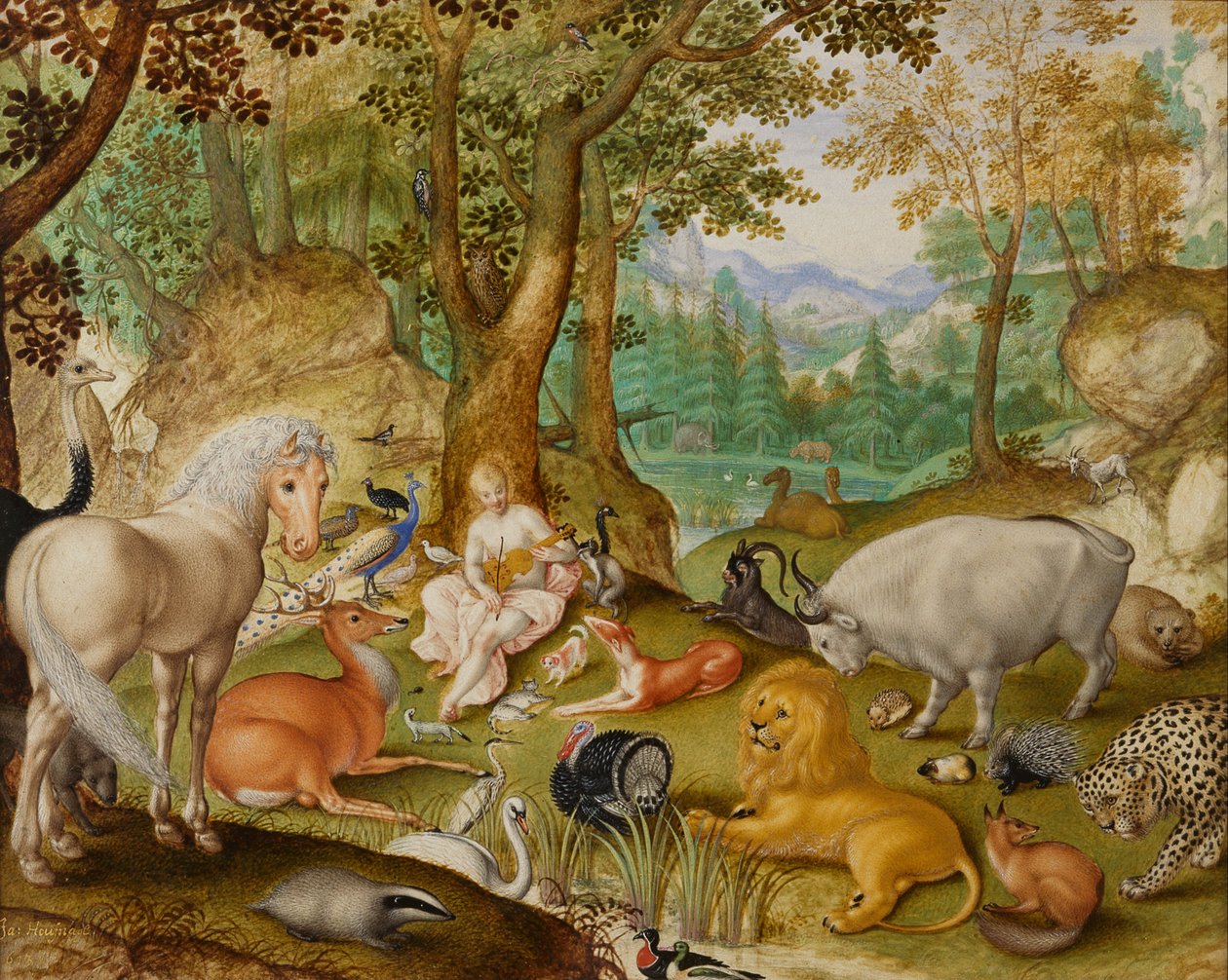 Orfeo che Incanta gli Animali da Jacob Hoefnagel