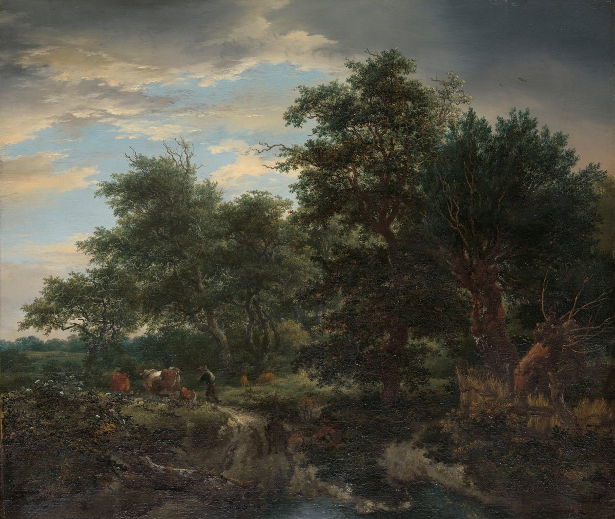 Scena di foresta da Jacob van Ruisdael