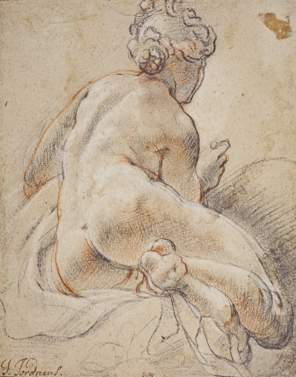 Nudo femminile, visto di spalle da Jacob Jordaens