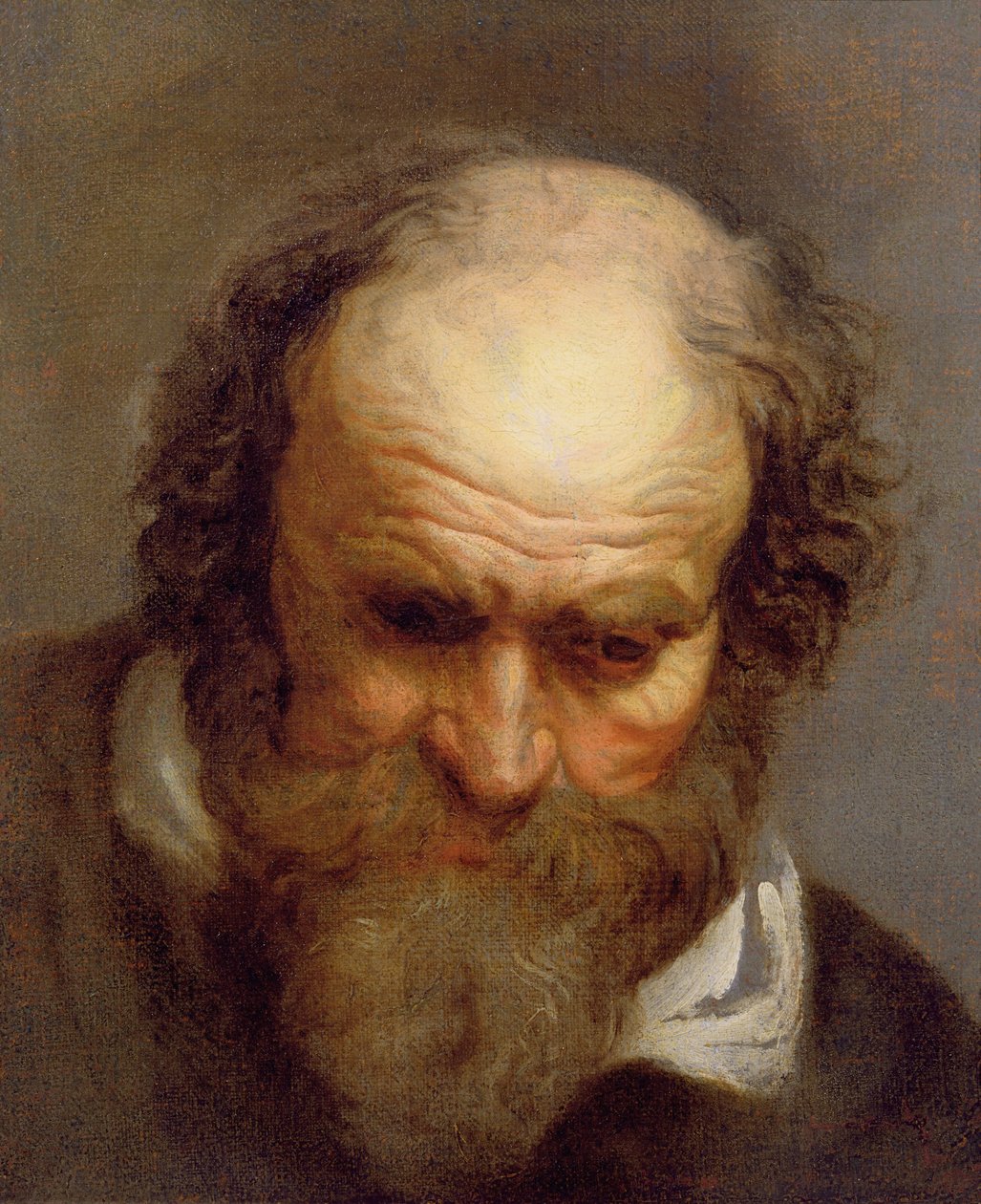 Testa di un vecchio da Jacob Jordaens