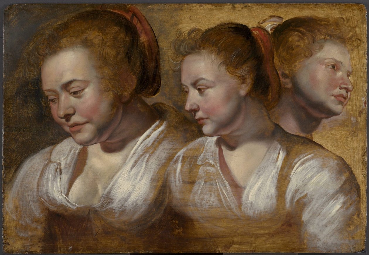 Tre studi di una giovane donna da Jacob Jordaens