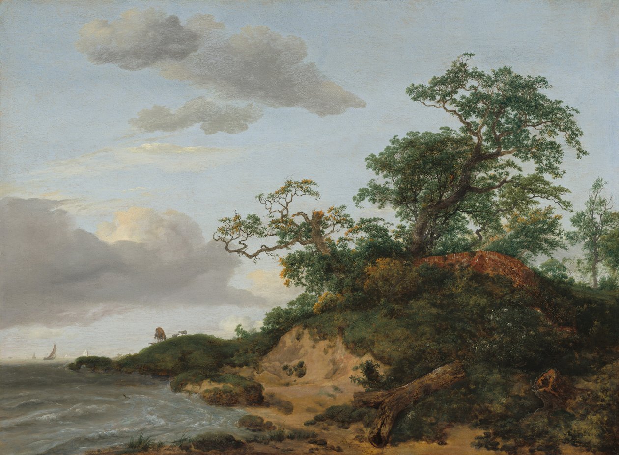 Dune sul mare da Jacob van Ruisdael