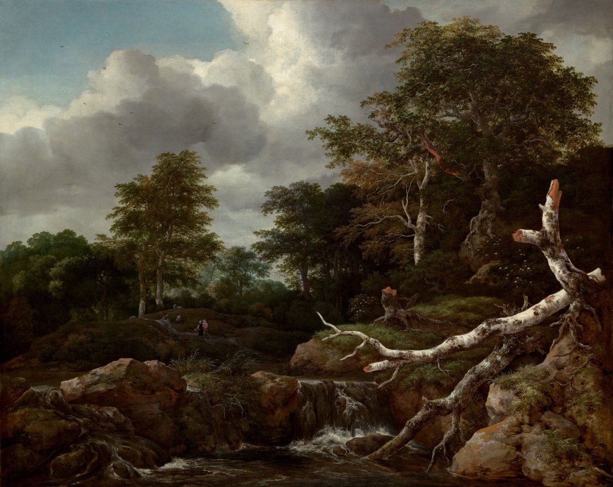 Scena di foresta da Jacob van Ruisdael