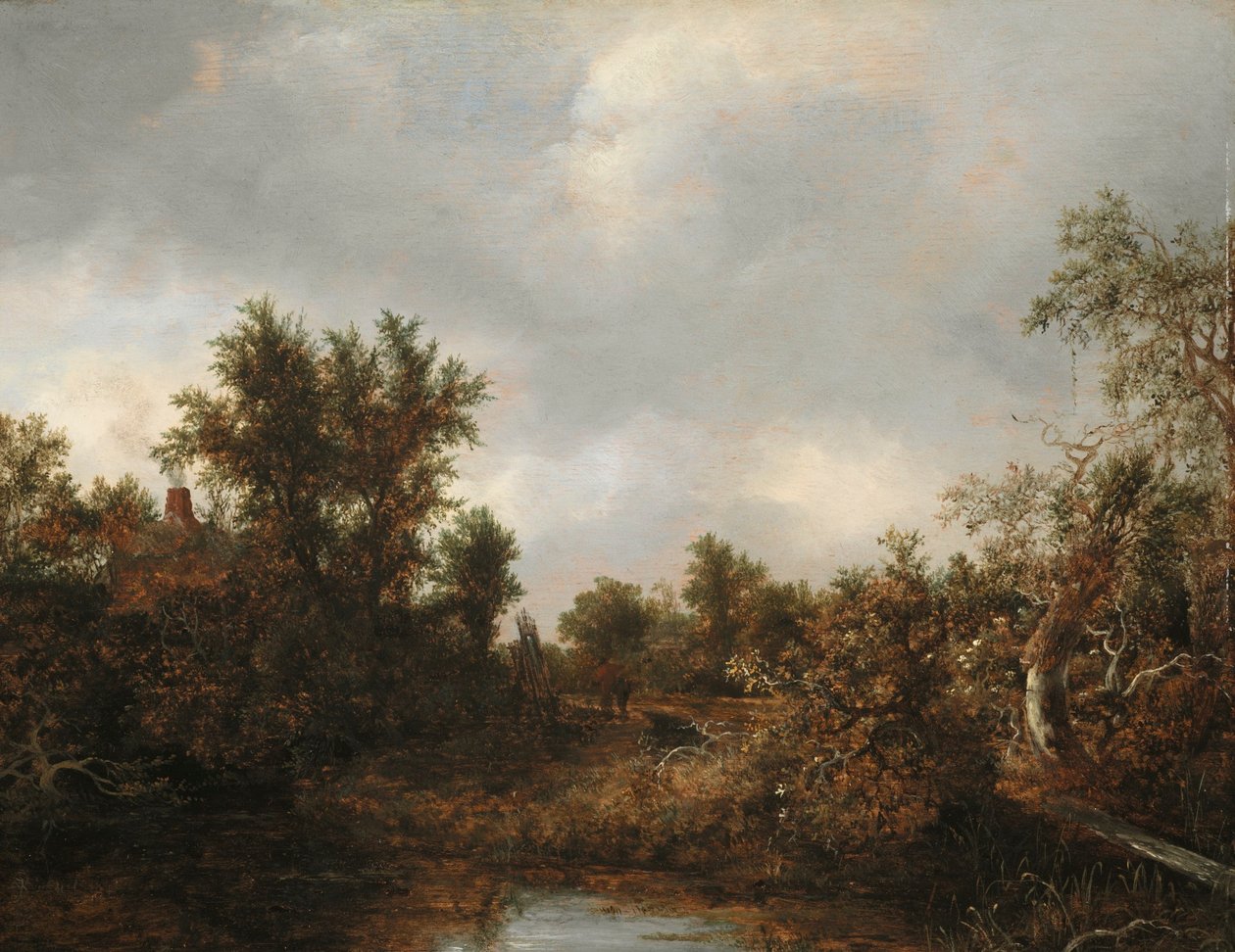 Paesaggio da Jacob van Ruisdael