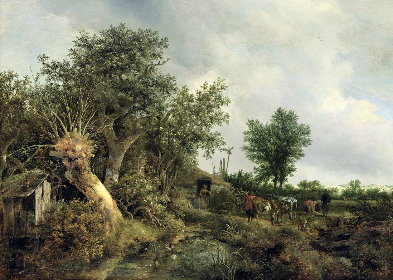 Paesaggio con una capanna, 1646 da Jacob van Ruisdael