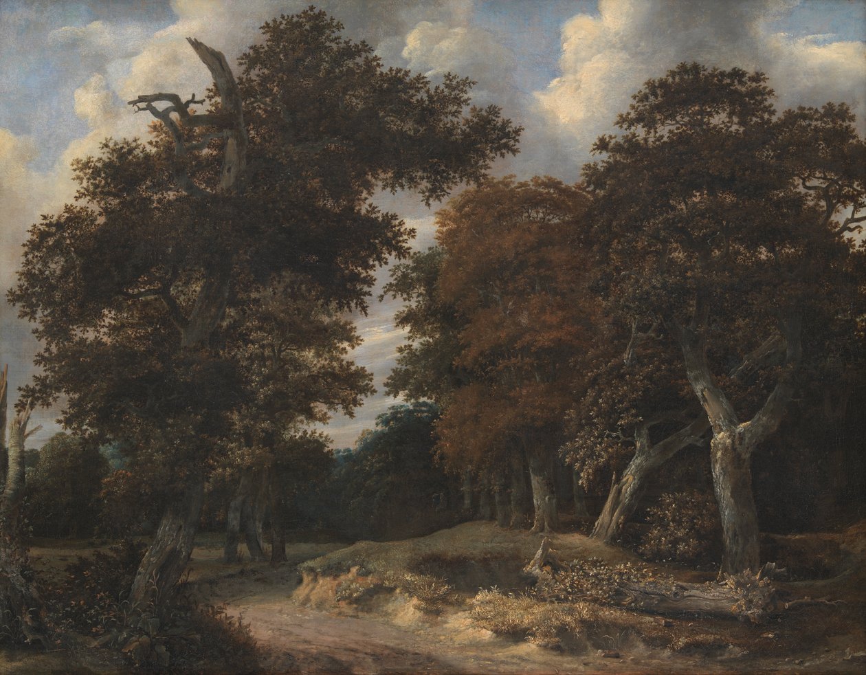 Strada attraverso una foresta di querce da Jacob van Ruisdael