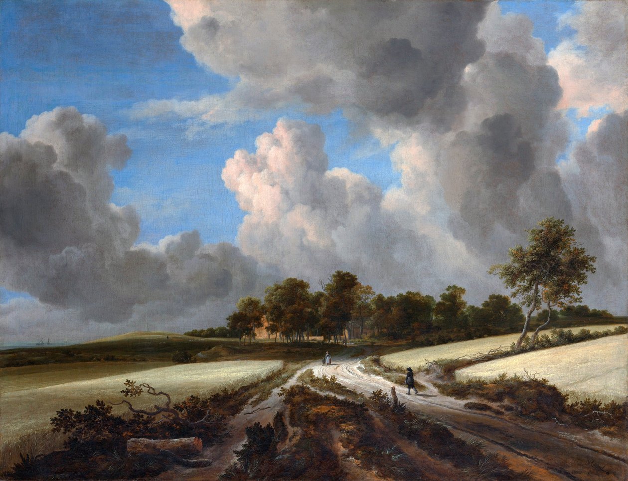 Campi di grano da Jacob van Ruisdael