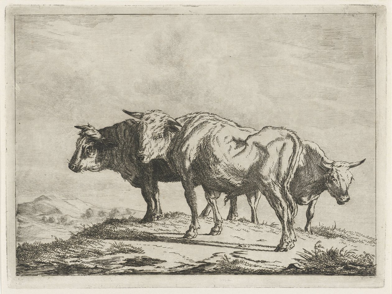 Tre buoi da Jacobus Cornelis Gaal