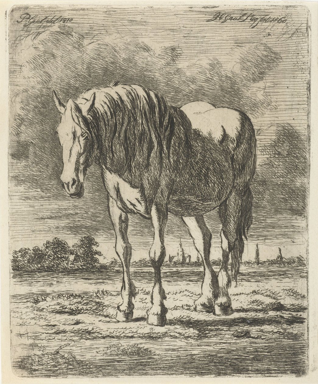 Cavallo bianco in piedi da Jacobus Cornelis Gaal
