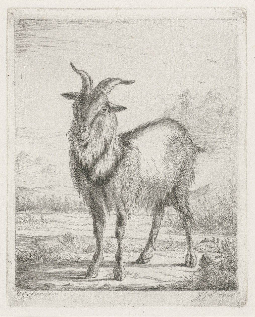Capra in piedi da Jacobus Cornelis Gaal