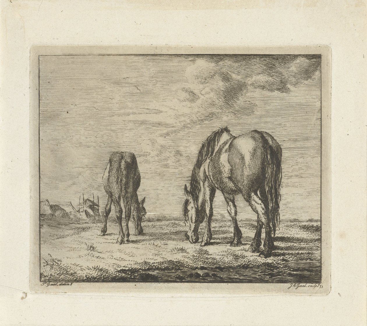 Due cavalli al pascolo da Jacobus Cornelis Gaal
