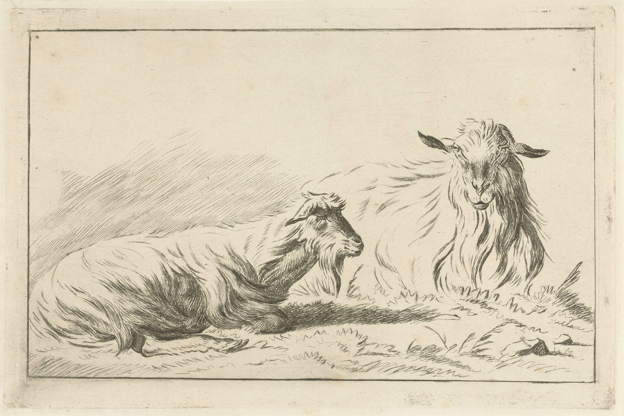 Due capre sdraiate da Jacobus Cornelis Gaal
