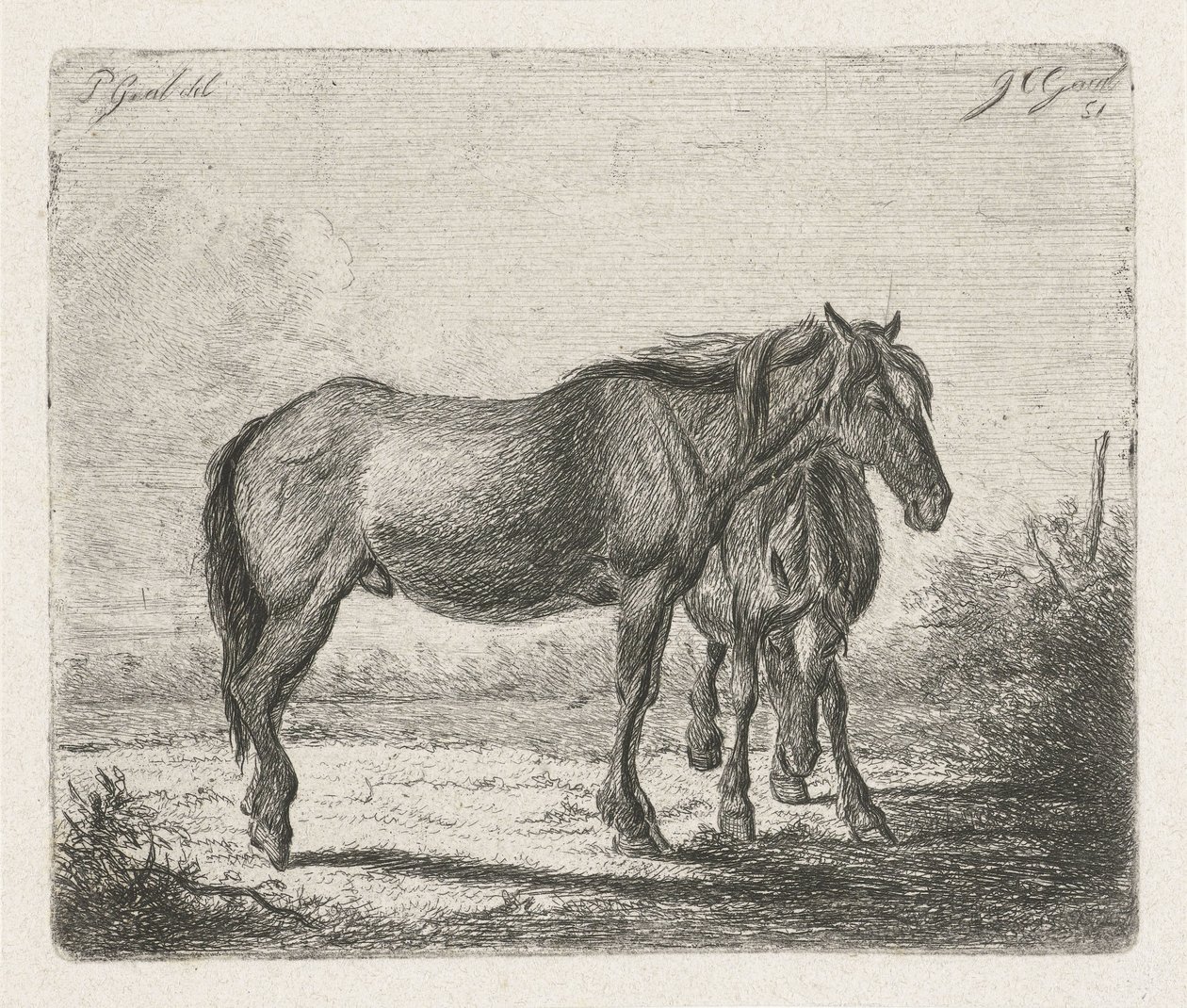 Due cavalli da Jacobus Cornelis Gaal