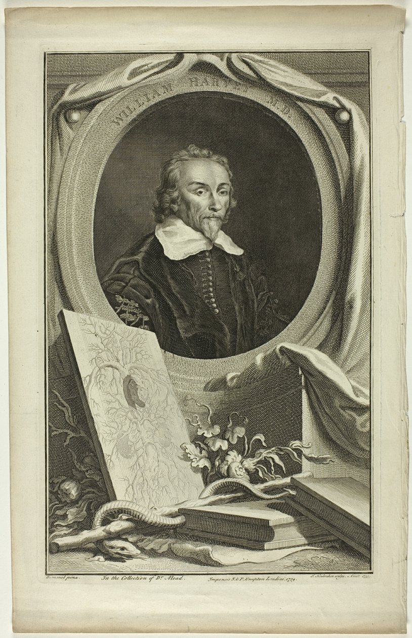 William Harvey, M.D. da Jacobus Houbraken