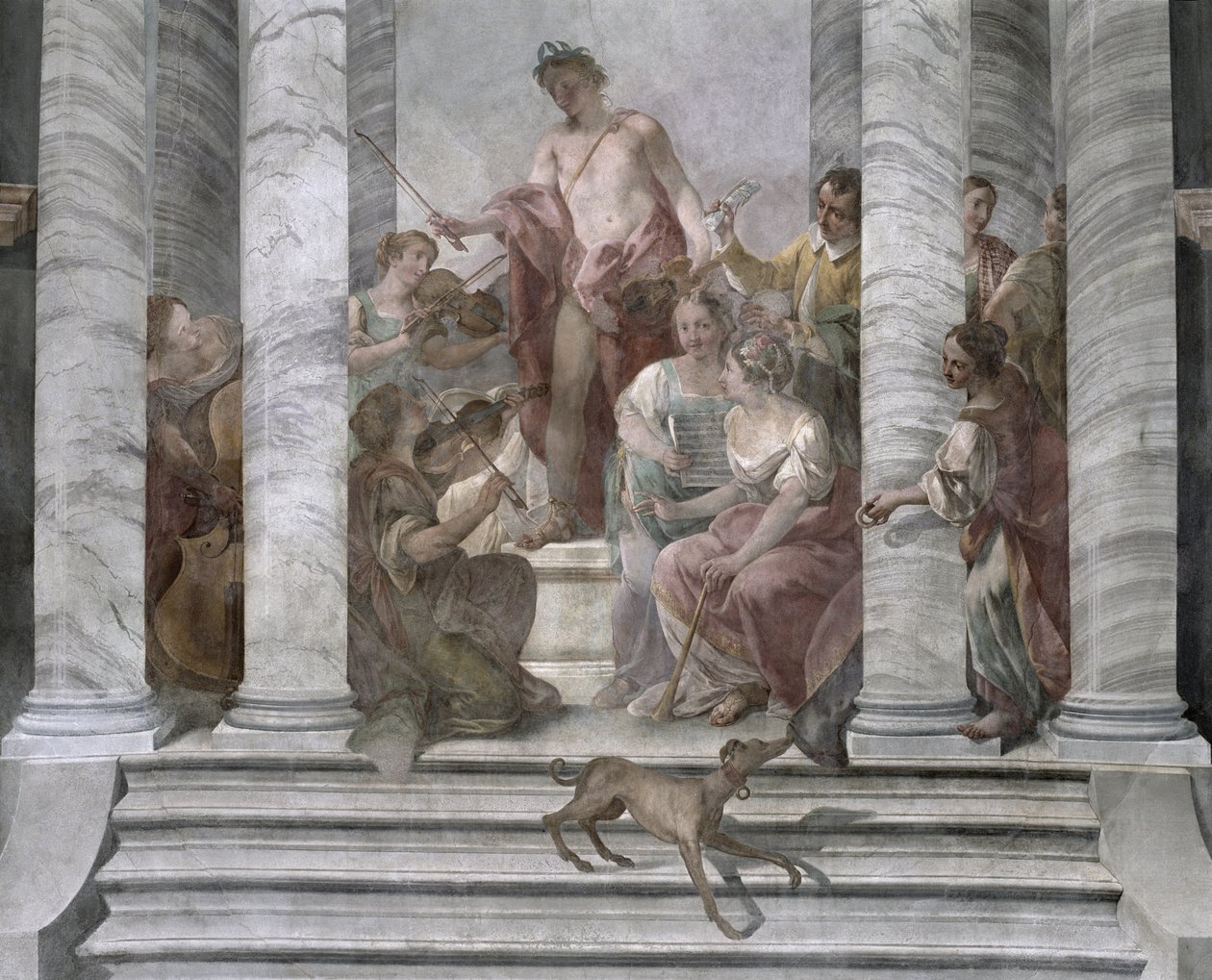 Sala della musica da Jacopo Guarana