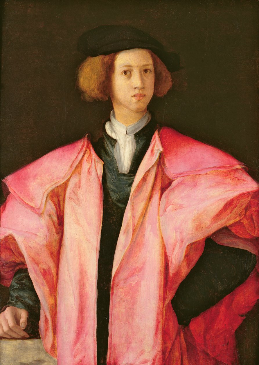 Ritratto di un Giovane Uomo da Jacopo Pontormo