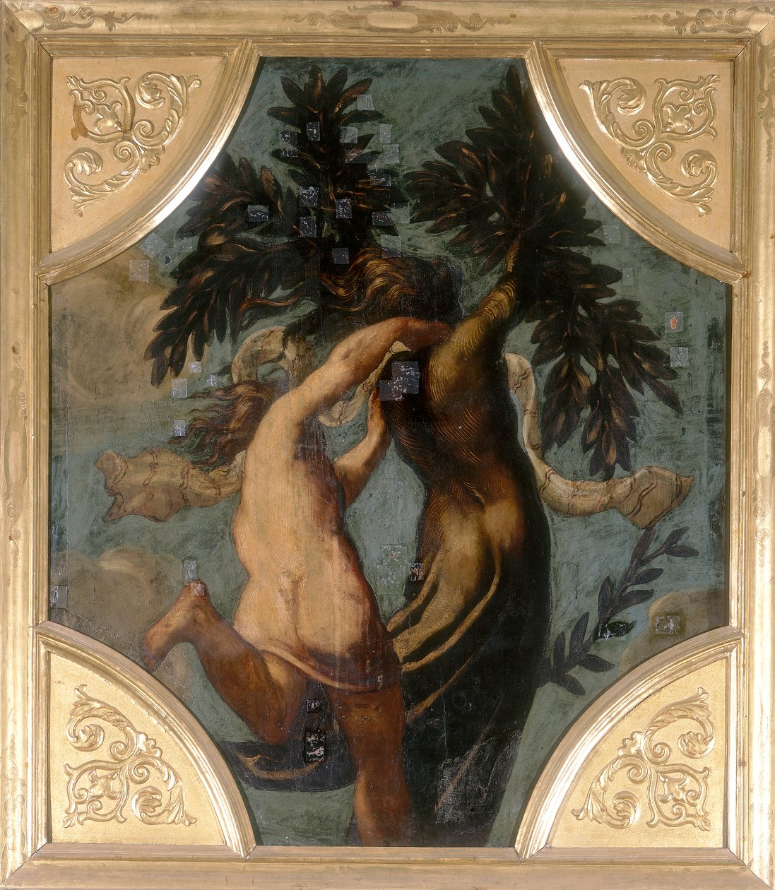 Apollo e Dafne, ottagono da Jacopo Robusti Tintoretto