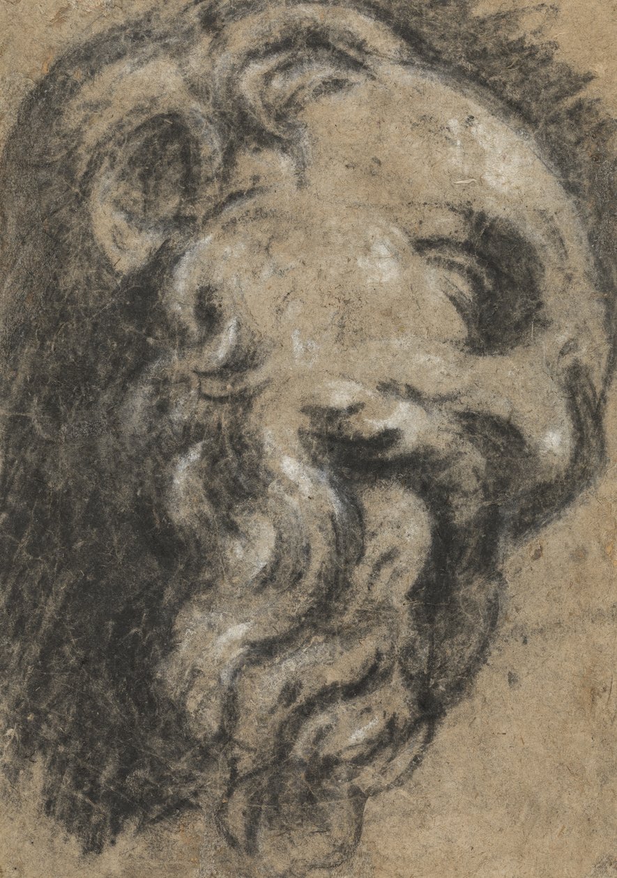 Studio dopo San Damiano di Michelangelo, c. tra il 1545 e il 1550 da Jacopo Robusti Tintoretto