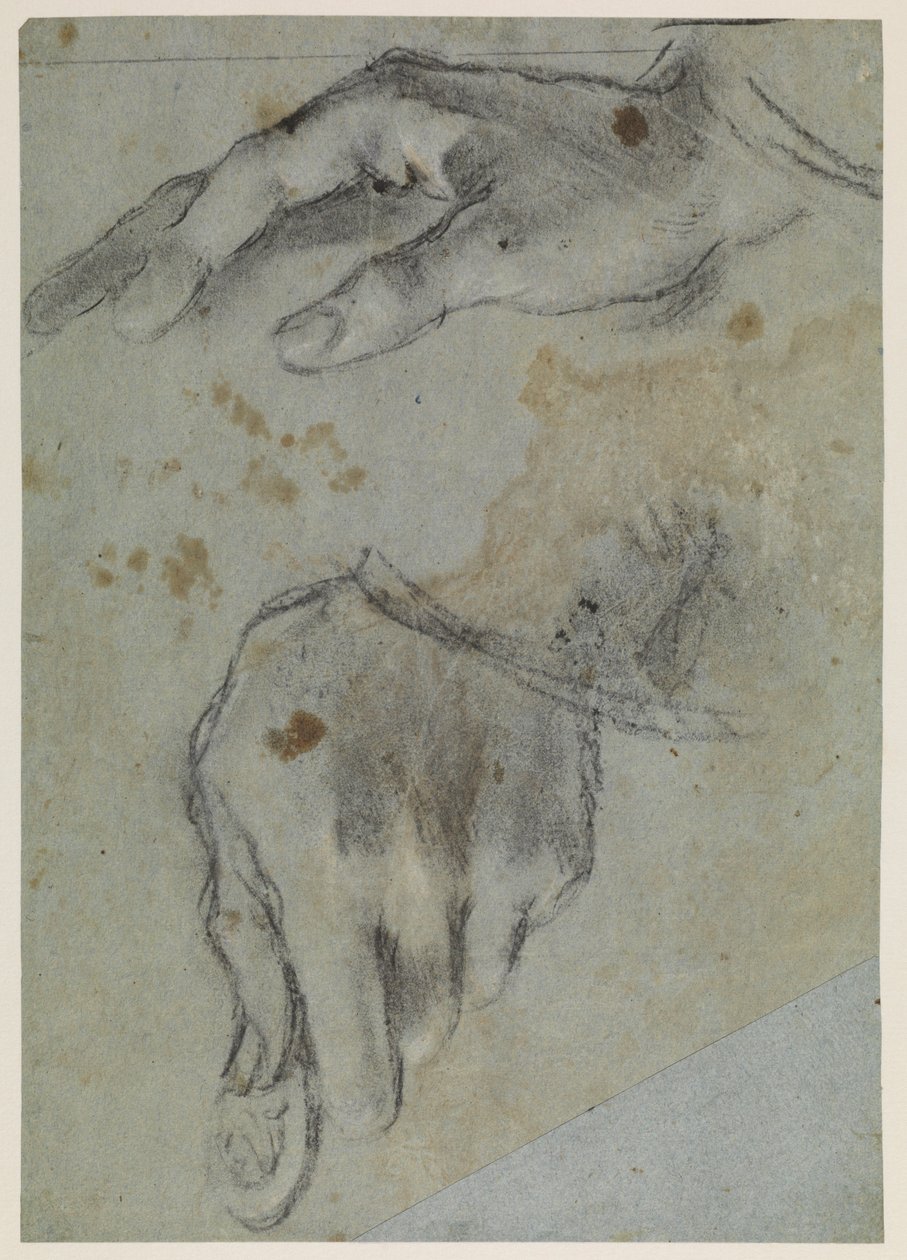 Studi di mani, recto, XVI secolo da Jacopo Bassano