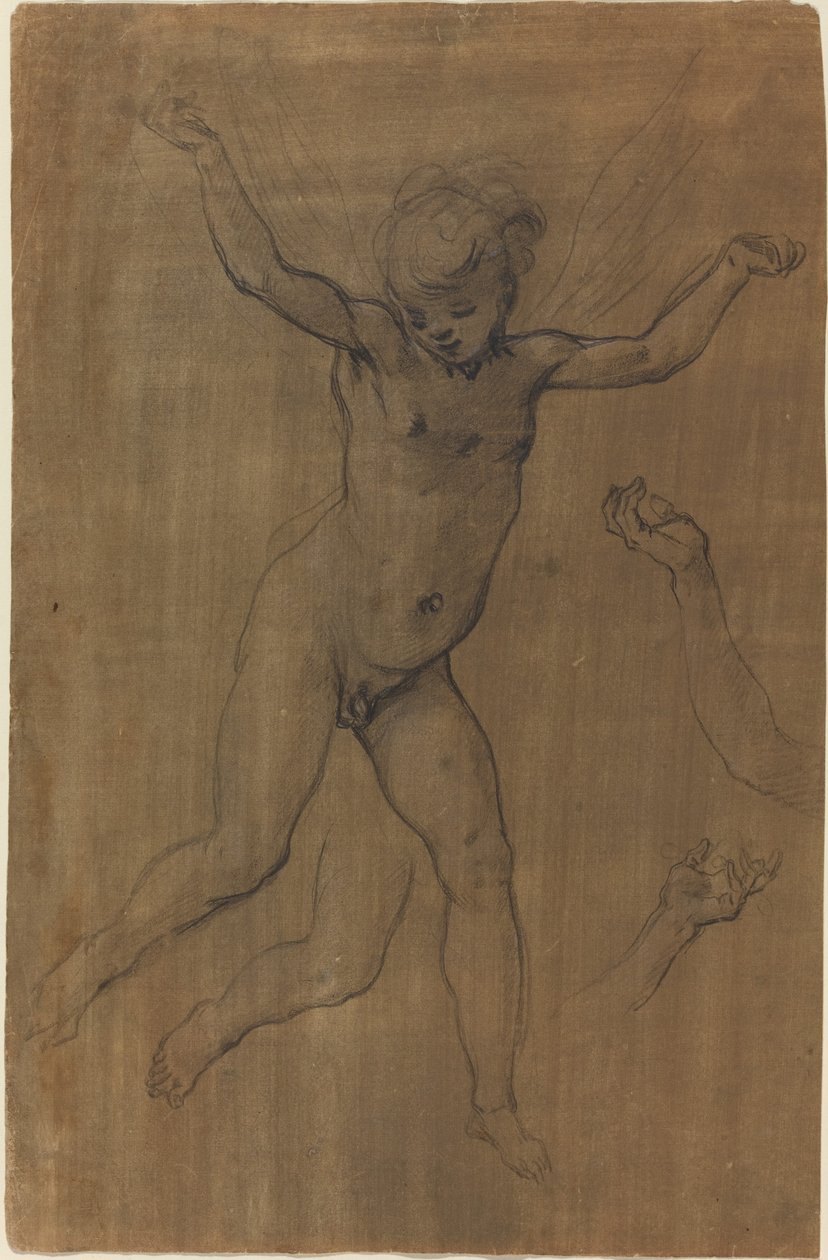 Un Angelo in Volo da Jacopo Chimenti