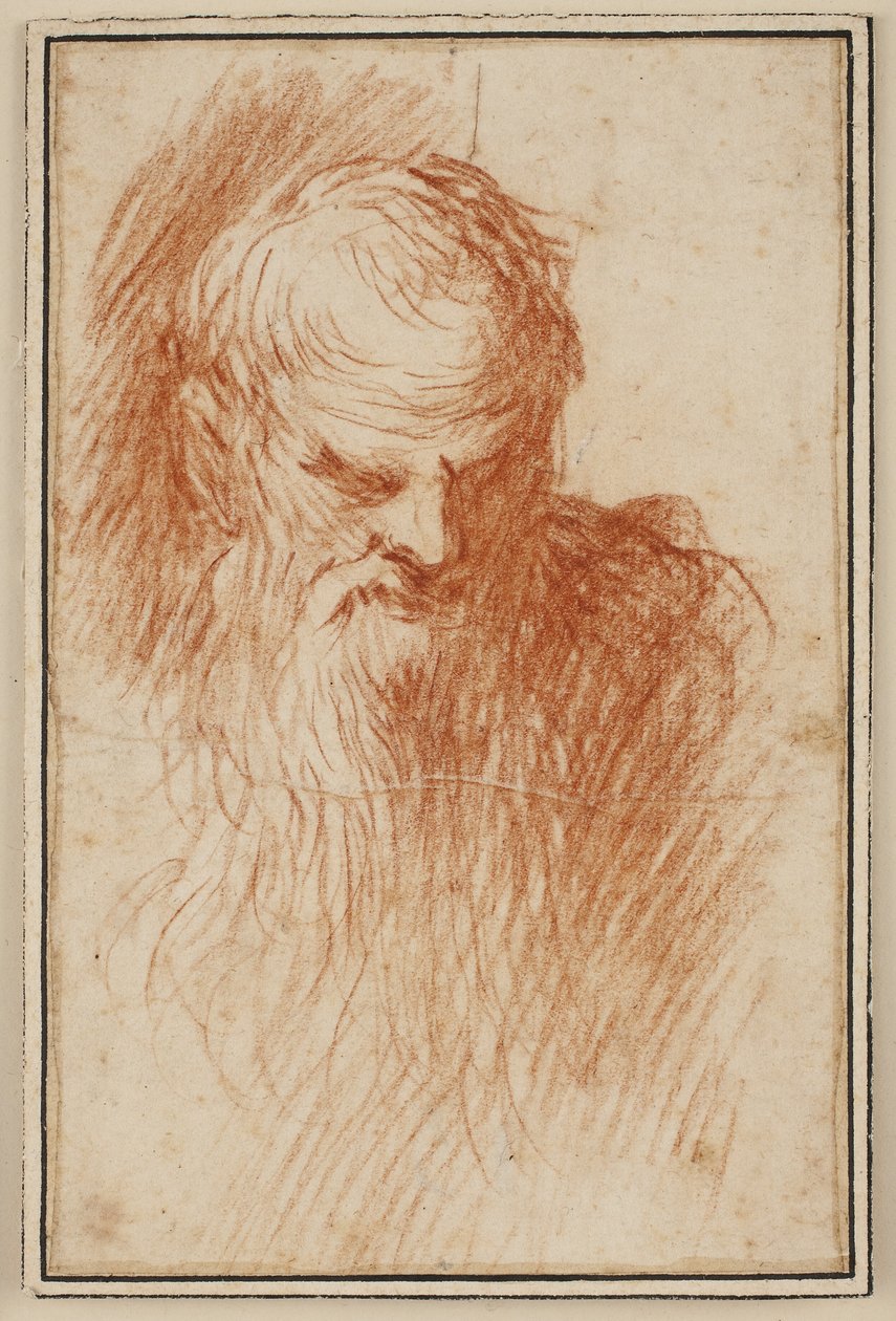 Testa di uomo barbuto da Jacopo Palma