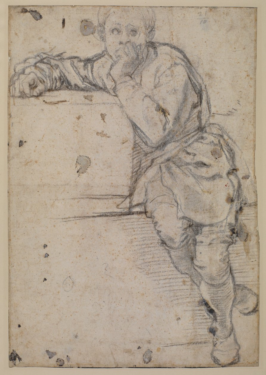 Giovane seduto da Jacopo Pontormo