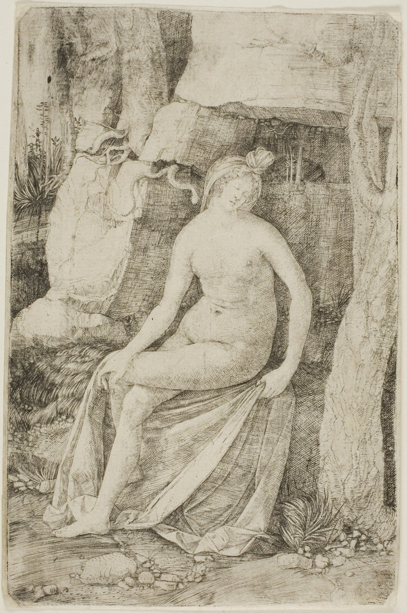 Cleopatra da Jacopo de